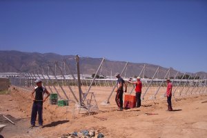 Jóvenes agricultores levantando nuevas estructuras de invernaderos en el Poniente almeriense.