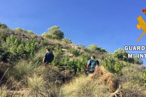 Efectivo de Guardia Civil en el paraje donde localizaron la plantación de marihuana.