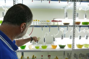 El profesor Gabriel Acién en una sala de producción de inóculos de microalga ubicado en la Estación Experimental de Cajamar.