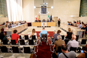 Sesión plenaria en el Ayuntamiento de Almería