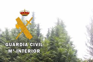 Un agente en el lugar en que se encontró la droga.