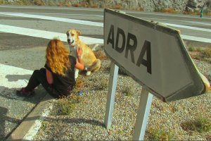 Aston, en el lugar en el que fue abandonado, en una foto difundida por EL Refugio.