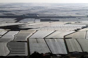 El Ejido es un mar de plástico con miles de hectáreas invernadas