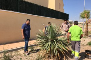 El Alcalde,  junto a los jardineros durante la plantación de uno de los ejemplares.