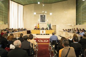 Pleno del Ayuntamiento de Almería.