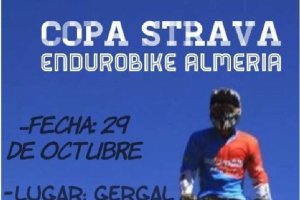 Cartel de la carrera.