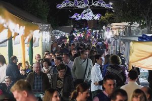Imagen de una de las calles que acoge la Feria de Albox.