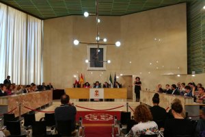 Votación durante la sesión plenaria de ayer