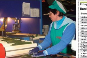 Las comercializadoras de octubre a mayo absorben la mayor parte del empleo.