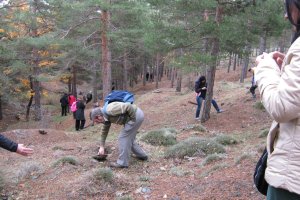 Aficionados a la recolección de setas durante una jornada micológica celebrada en la Sierra de los Filabres.