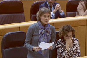 La ministra en su comparecencia ayer en el Senado