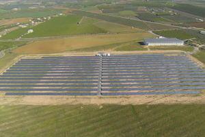 Campo  solar como el que proyectan para Tahal.