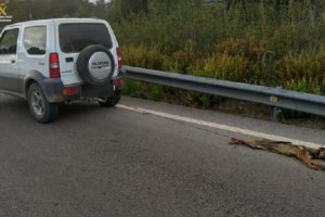 Imagen de la Guardia Civil.