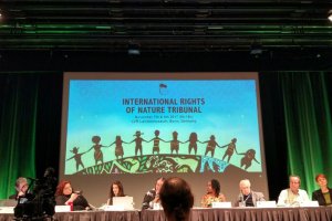 Sesión del Tribunal por los Derechos de la Naturaleza en el que se dictó sentencia por la sobreexplotación del Río Aguas.