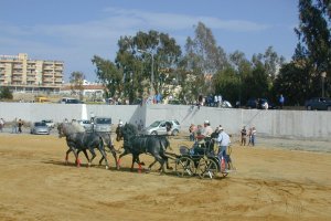 Imagen de la Feria del Ganado en Albox.