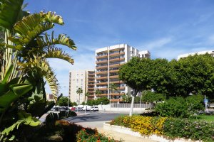 Los espacios ajardinados y los edificios de tonalidad clara abundan en la zona.