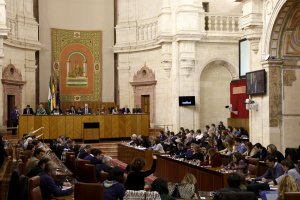 El Parlamento Andaluz ha aprobado una propuesta de resolución sobre la línea.