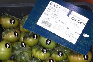 El tomate Raf ha iniciado su cotización a buen precio y el sábado en La Cañada saltó todos los registros