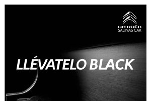 Cartel del Black Friday en Salinas Car.