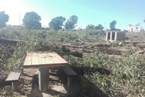 Árboles talados en la zona del merendero municipal de Vera.