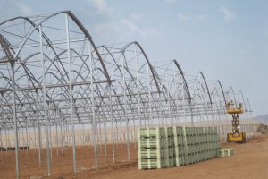 Cada vez se desarrollan más tecnologías para optimizar la productividad de los invernaderos.