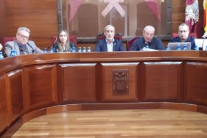 Pleno celebrado ayer en Vera.