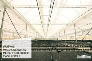 Nuevas instalaciones para producción ecológica. Foto: Grupo Cristalplant.