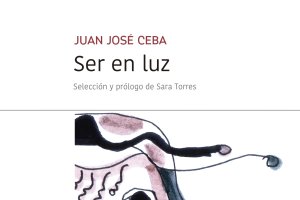 Portada de Ser en luz, de Juan José Ceba.
