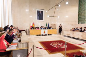 Pleno del Ayuntamiento.