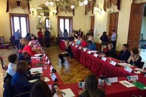 Reunión del Consejo provincial de la discapacidad.