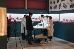 El equipo del Museo de Almería repasa las piezas, junto a un conservador del MAN en una imagen de José Felices.