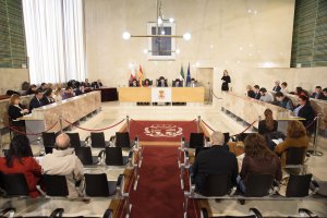 Vista general del salón de plenos