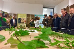 Inauguración del Centro de Colecciones Científicas de la UAL.
