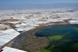 Imagen de la Balsa del Sapo, en El Ejido, rodeada de invernaderos.