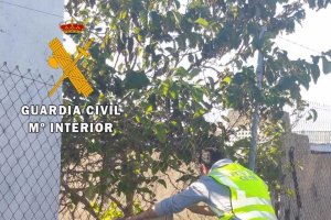 La Guardia Civil dice haber esclarecido 17 robos en el Poniente.