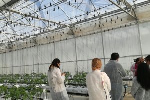 Prototipo de invernadero para distintos cultivos en el centro experimental de Tecnova.