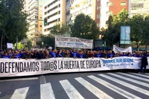 La manifestación  transcurrió ayer por las principales calles de la ciudad de Murcia con presencia almeriense.