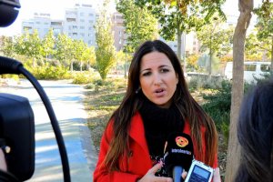 El PSOE denuncia la falta de seguridad y de mantenimiento del Parque de las Familias.