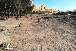 El merendero y la finca adyacente, donde se ha producido la limpieza del terreno recientemente. Foto: Veraplayazaul