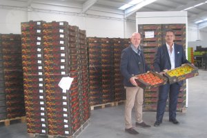 Dimitri Calabrese, fundador y director gerente de Dimifruit muestra una caja de californias, junto al director de producto, Bruce Chevalier.