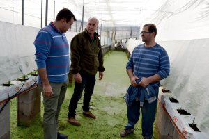 Andrés Góngora, secretario provincial de COAG, visita las explotaciones dañadas.