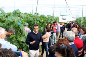 Visita en invernadero de agricultores para conocer las nuevas variedades SmartQ de pepino holandés.
