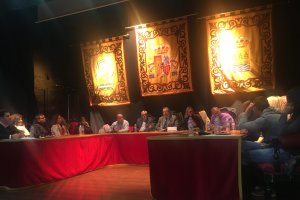 Sesión plenaria celebrada la noche del jueves en Albox.