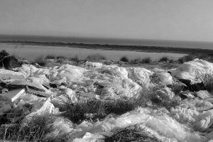 Almería  suma una superficie de más de 30.000 hectáreas invernadas que provocan una gran cantidad de residuos plásticos en cada campaña.