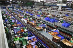 La actividad  agroalimentaria almeriense es la que aporta la mayor parte de la cifra de negocios de la provincia.