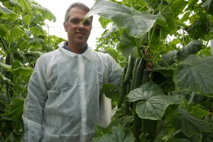 Javier López (Rijk Zwaan) posa junto a la nueva variedad de pepino holandés 24-261 RZ F1.