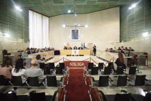 Pleno celebrado en el Ayuntamiento de Almería.