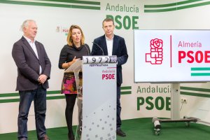 Parlamentarios socialistas almerienses.