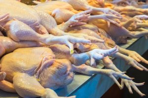 En algunas granjas se sigue medicando a las aves de corral con antibióticos fluoroquinolónicos.