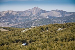 La de los Filabres,  es la sierra más alta de Almería, después de Sierra Nevada.